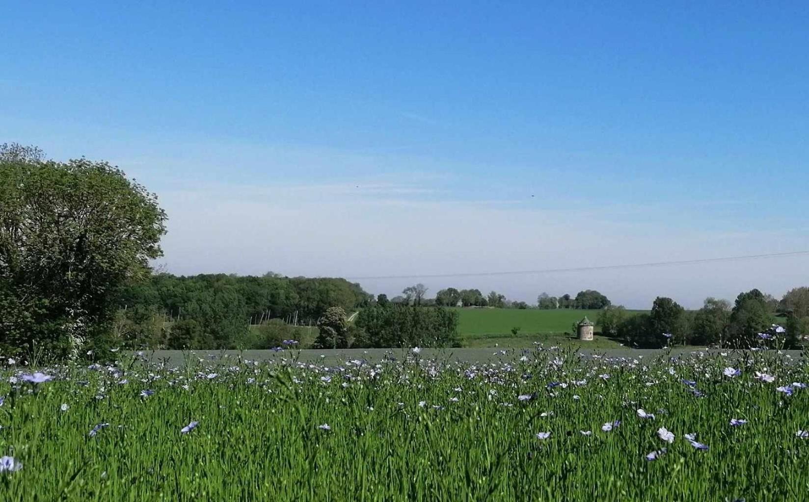 La Vieille Ferme *